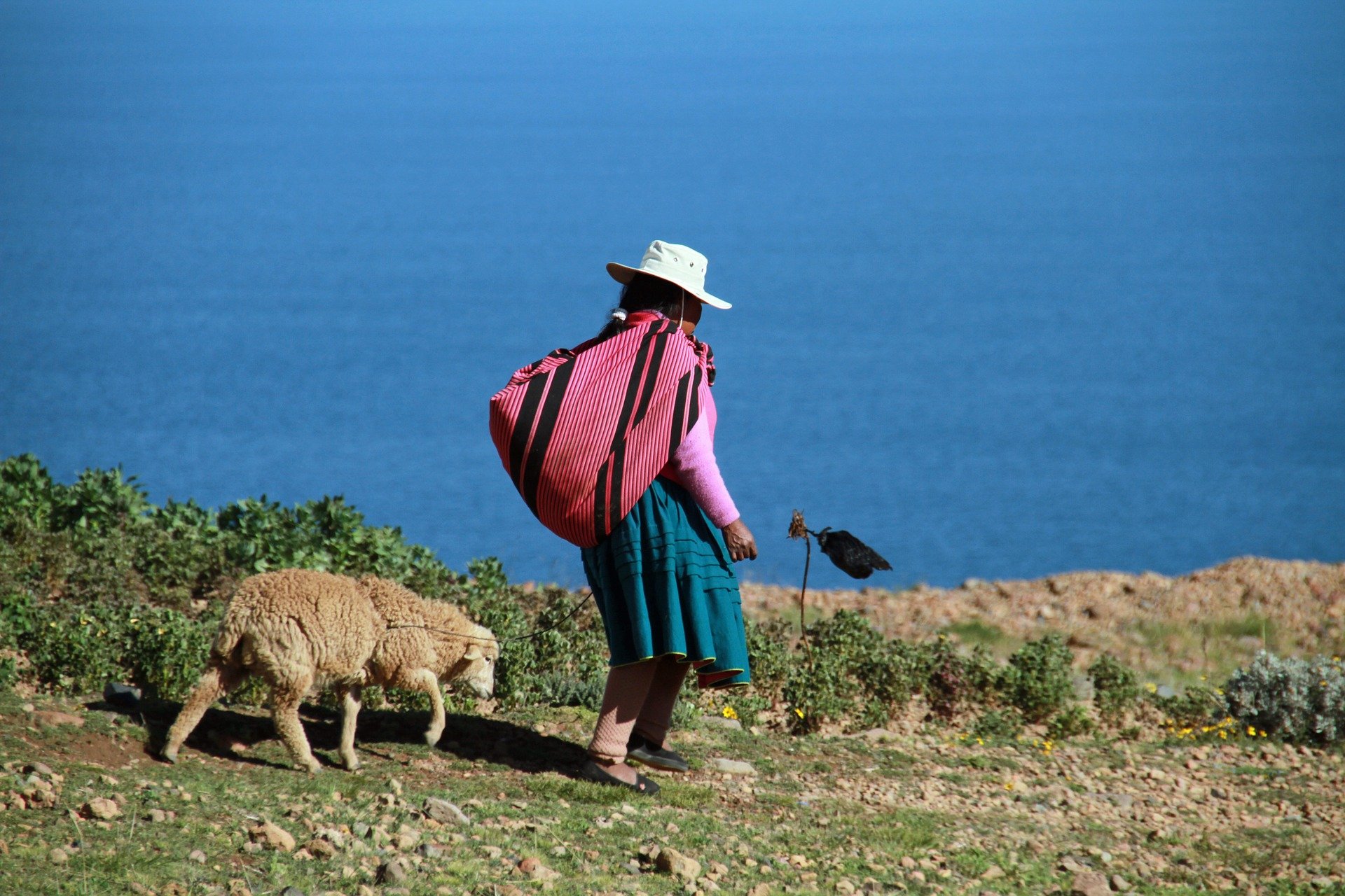 Indigene Frau mit Schaf in Peru